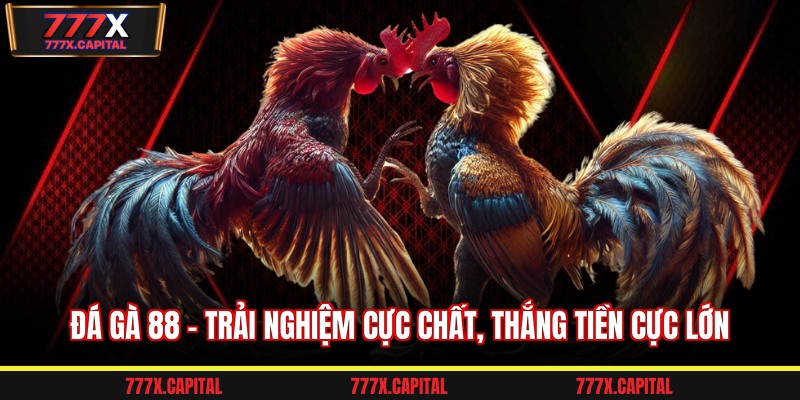 Đá gà 88