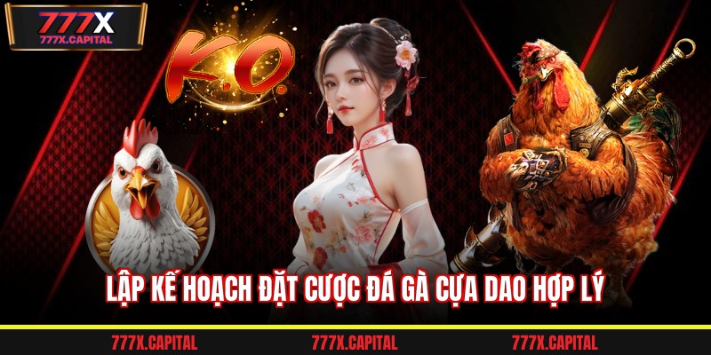 Lập kế hoạch đặt cược đá gà cựa dao hợp lý