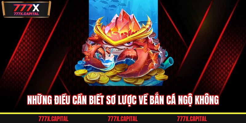 Những điều cần biết sơ lược về bắn cá ngộ không